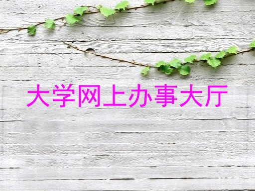 大学网上办事大厅
