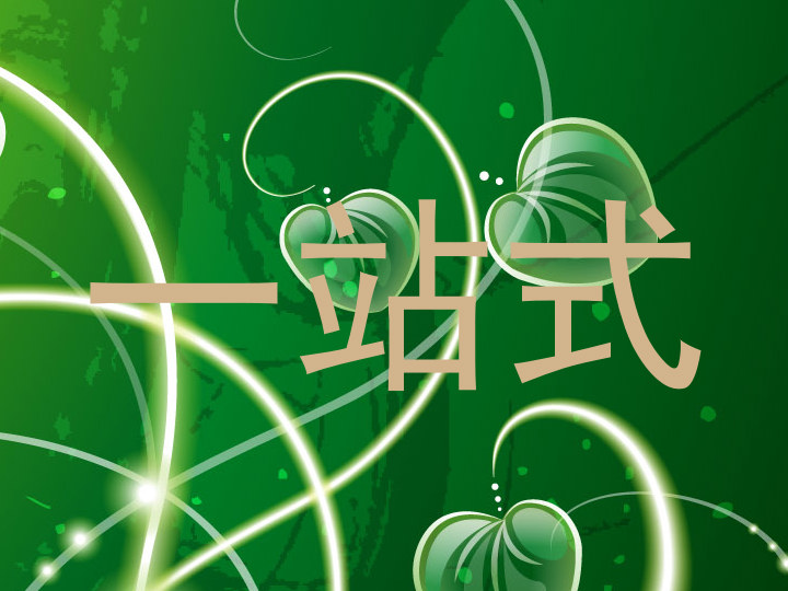 一站式