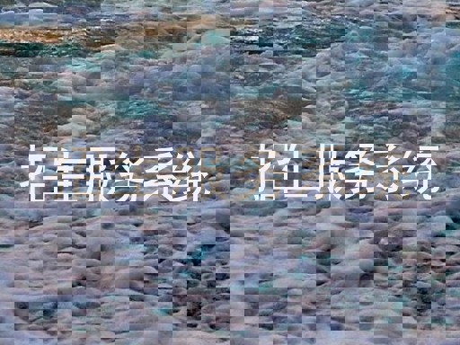 招生服务系统