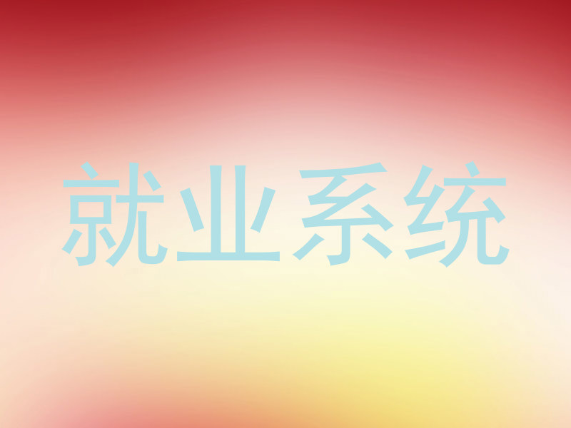 就业系统