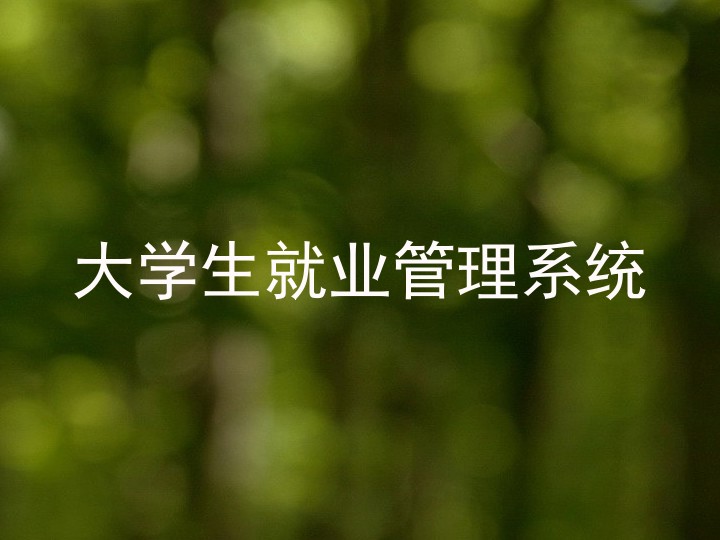 大学生就业管理系统