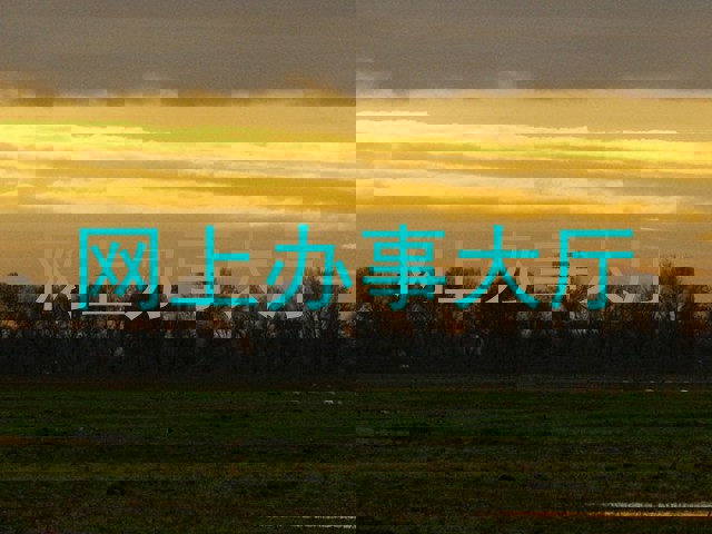 网上办事大厅