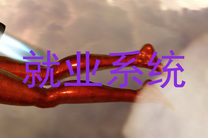 就业系统