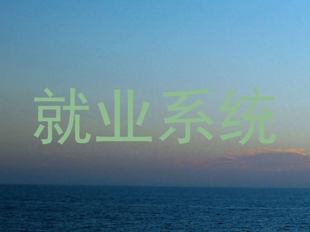 就业系统