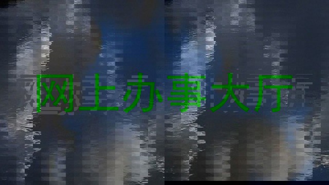 网上办事大厅