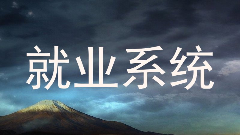 就业系统