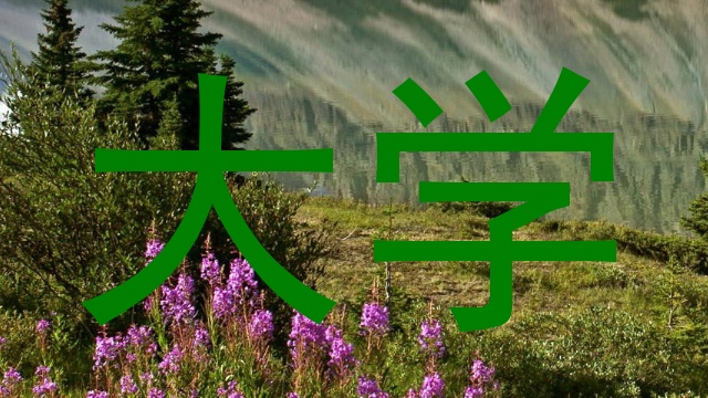 大学