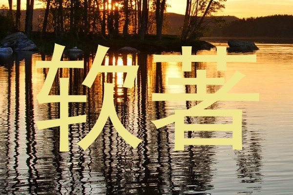 软著