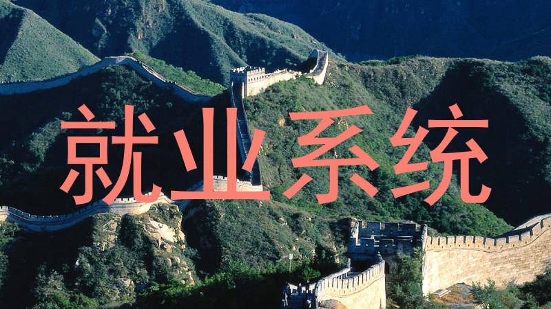 就业系统