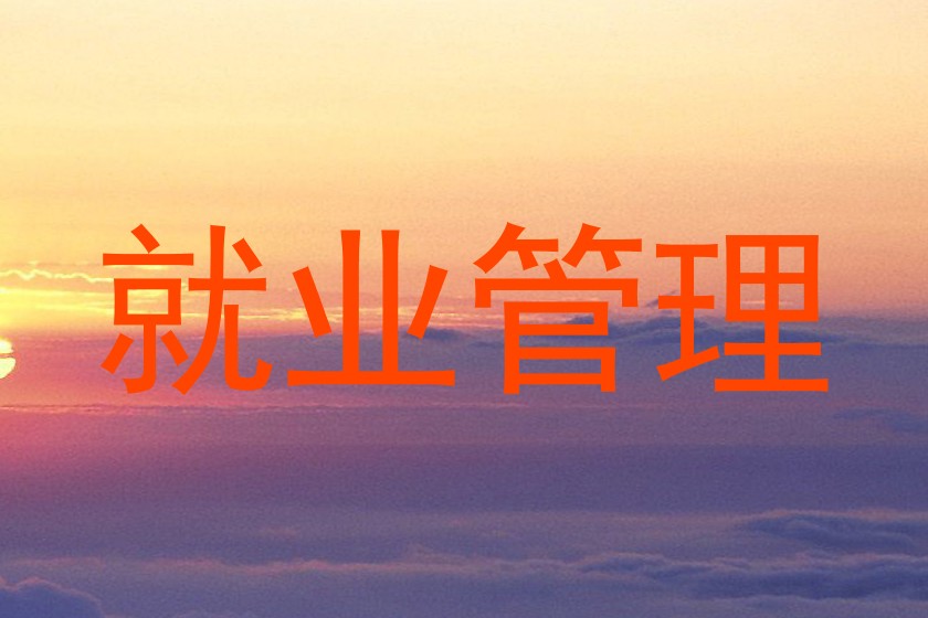 就业管理