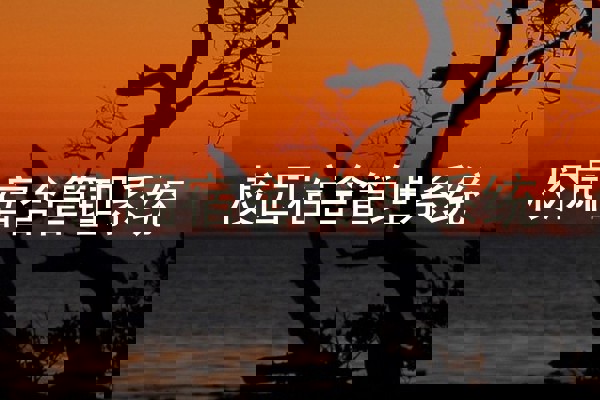 校园宿舍管理系统