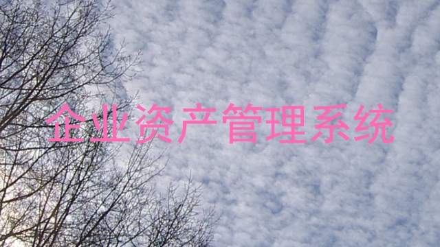 企业资产管理系统