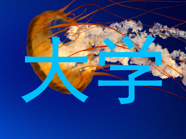 大学