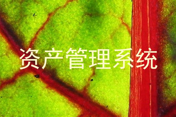 资产管理系统