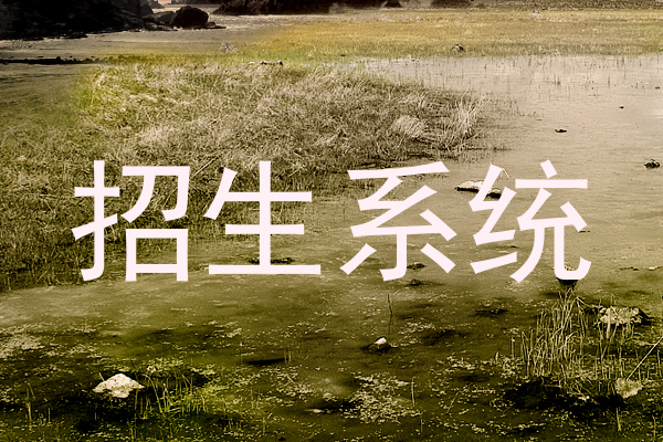 招生系统