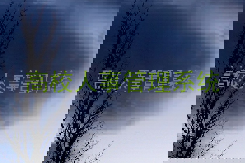 高校人事管理系统