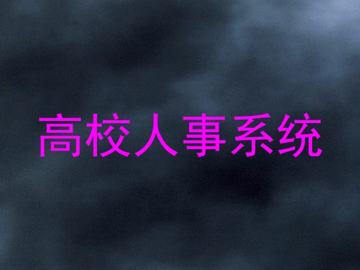 高校人事系统