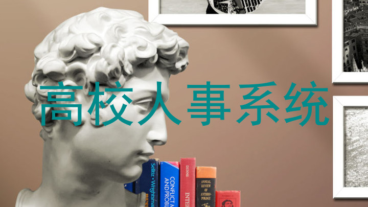 高校人事系统