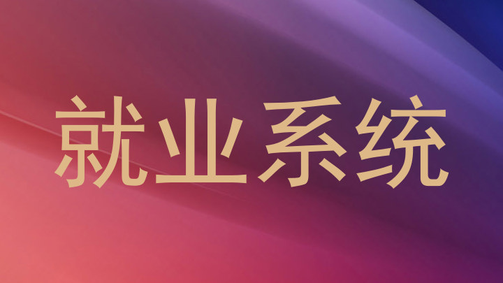 就业系统