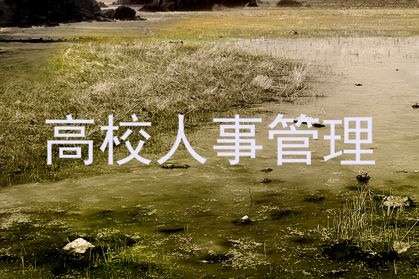 高校人事管理