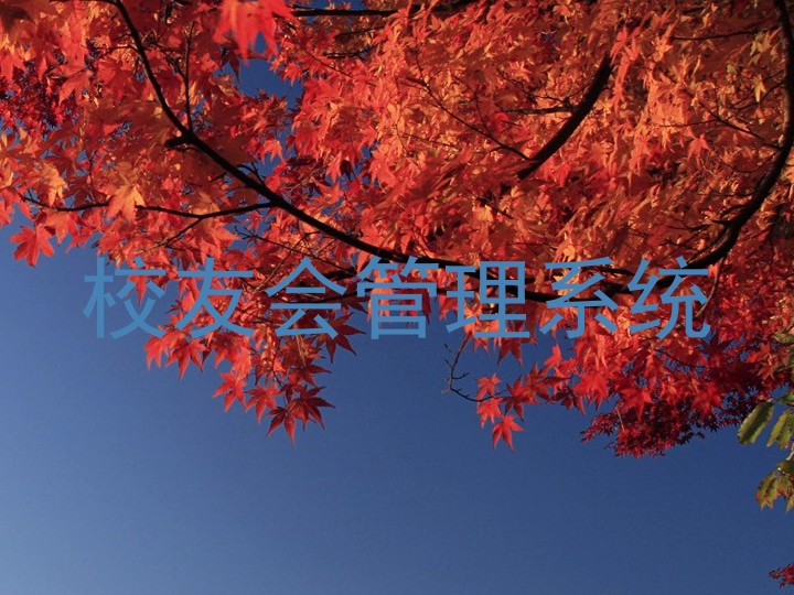 校友会管理系统