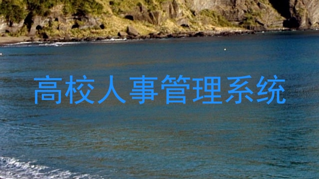 高校人事管理系统