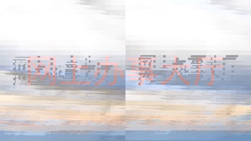 网上办事大厅