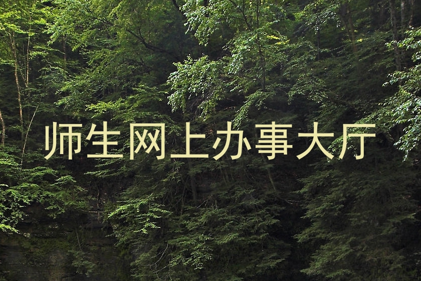 师生网上办事大厅