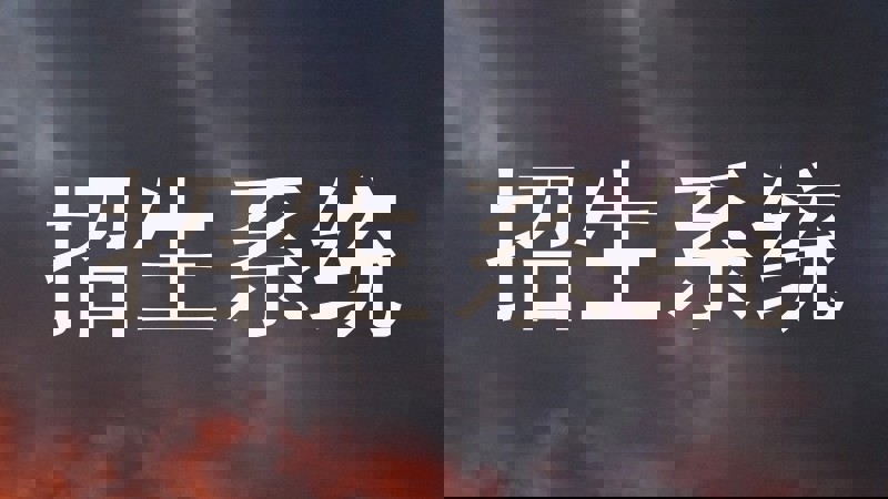 招生系统