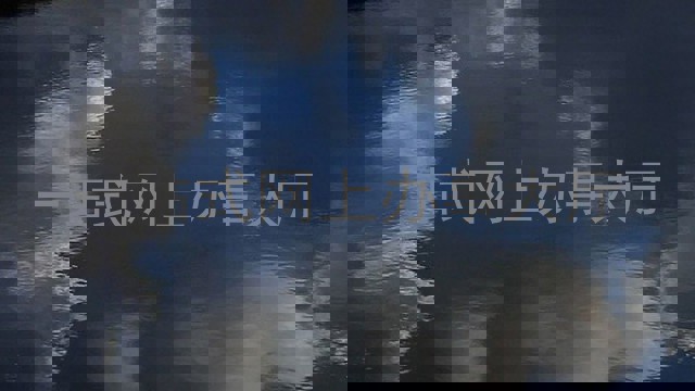 一站式网上办事大厅
