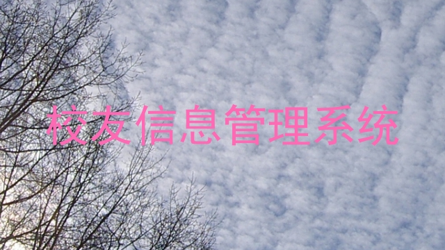 校友信息管理系统
