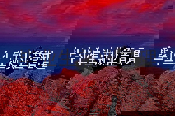 毕业生就业管理