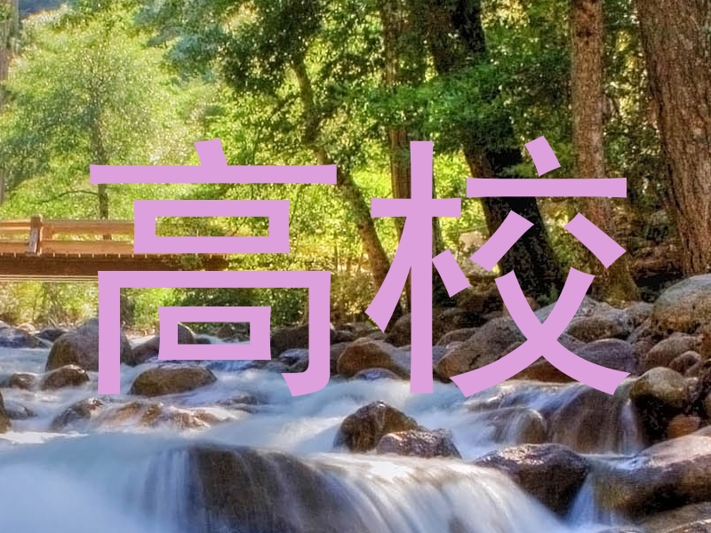 高校