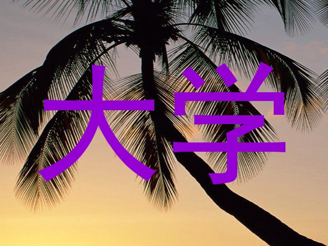 大学