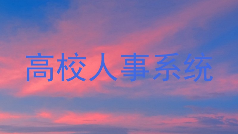 高校人事系统
