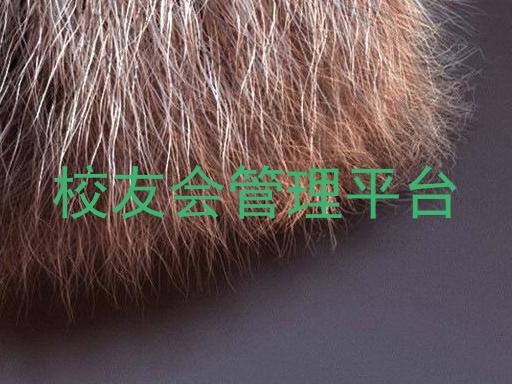 校友会管理平台