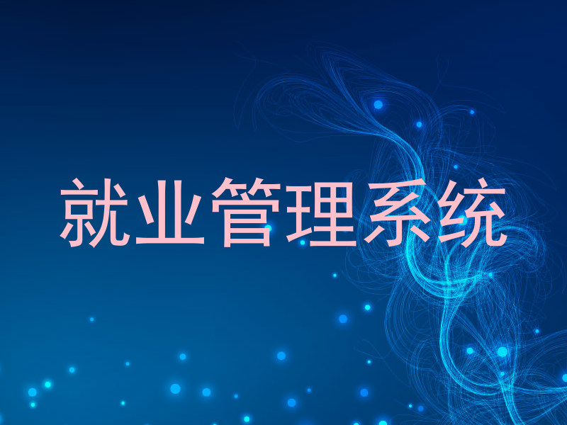 就业管理系统