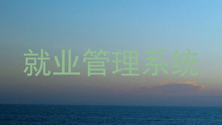就业管理系统