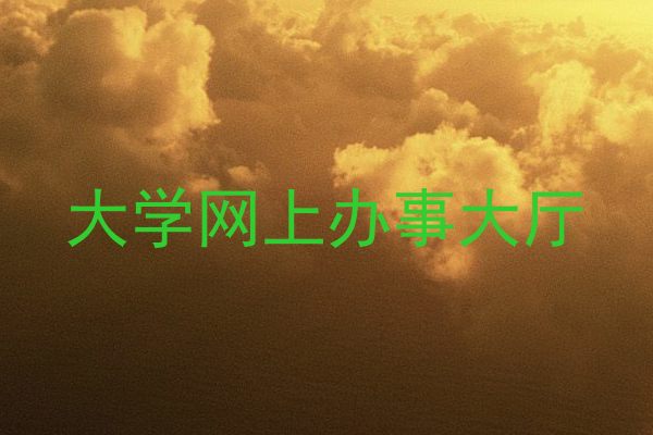 大学网上办事大厅