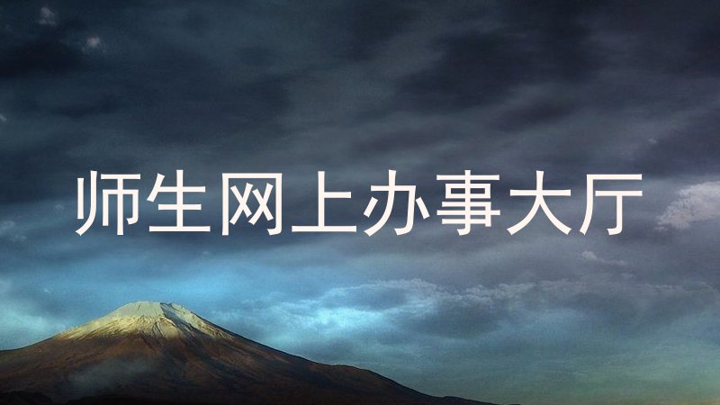 师生网上办事大厅