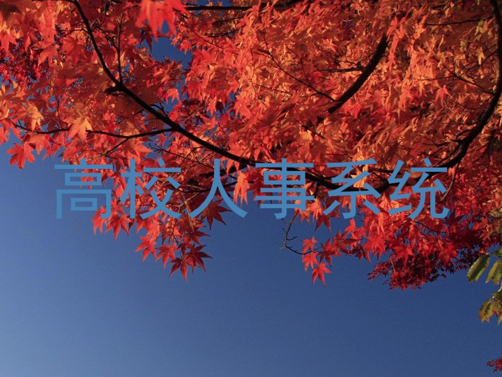 高校人事系统