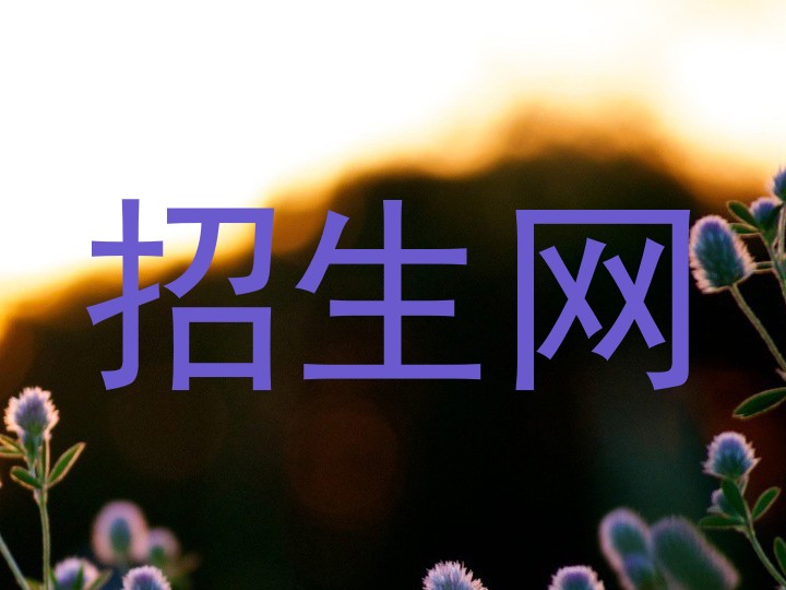 招生网