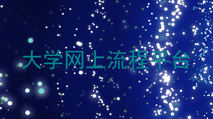 大学网上流程平台