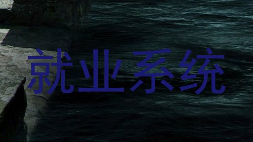 就业系统