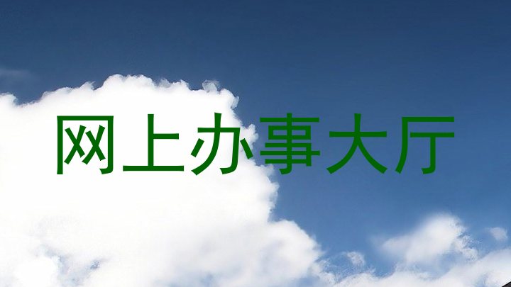 网上办事大厅