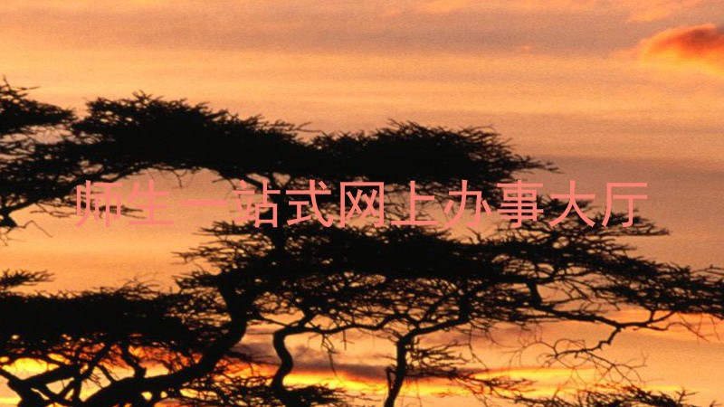 师生一站式网上办事大厅