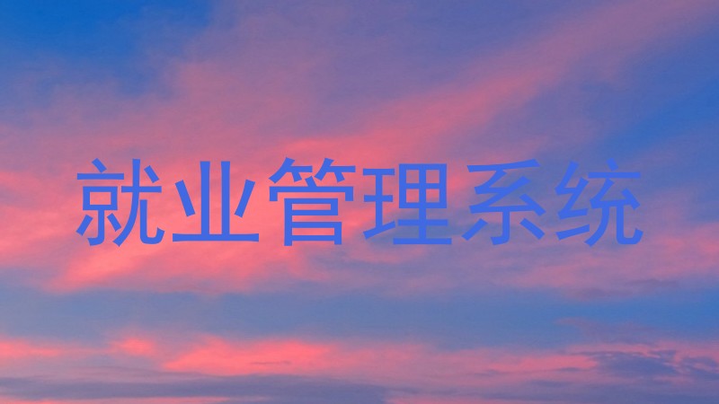 就业管理系统