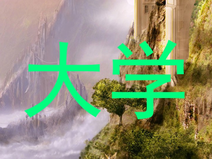 大学