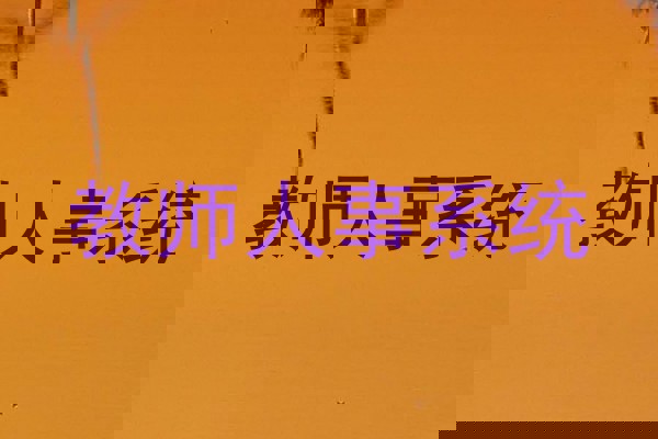 教师人事系统