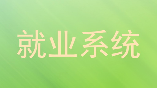 就业系统